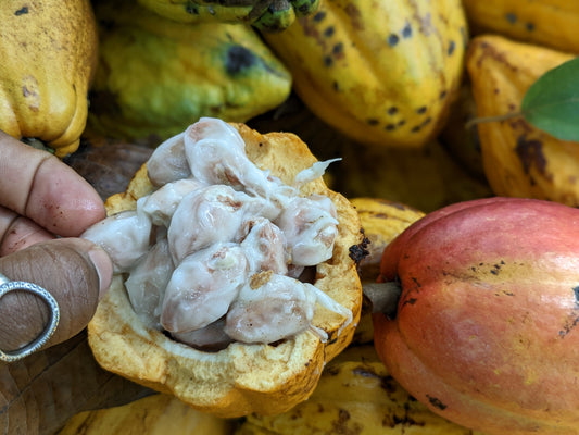 Smoothie énergisant au baobab, banane & fèves de cacao
