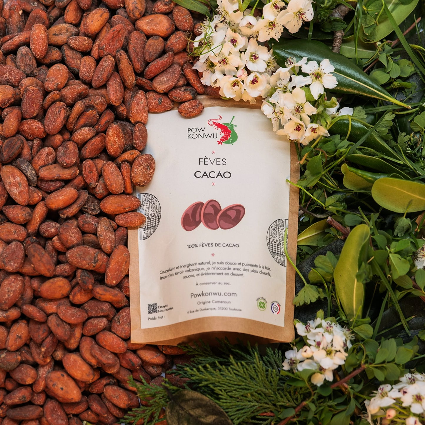 Fève de Cacao grand cru