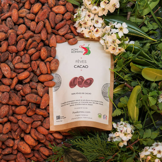 Fève de Cacao grand cru