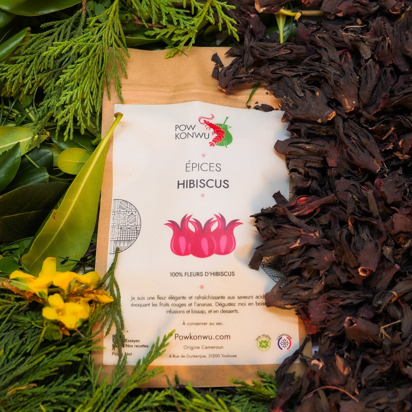 Hibiscus Sabdariffa / Bissap