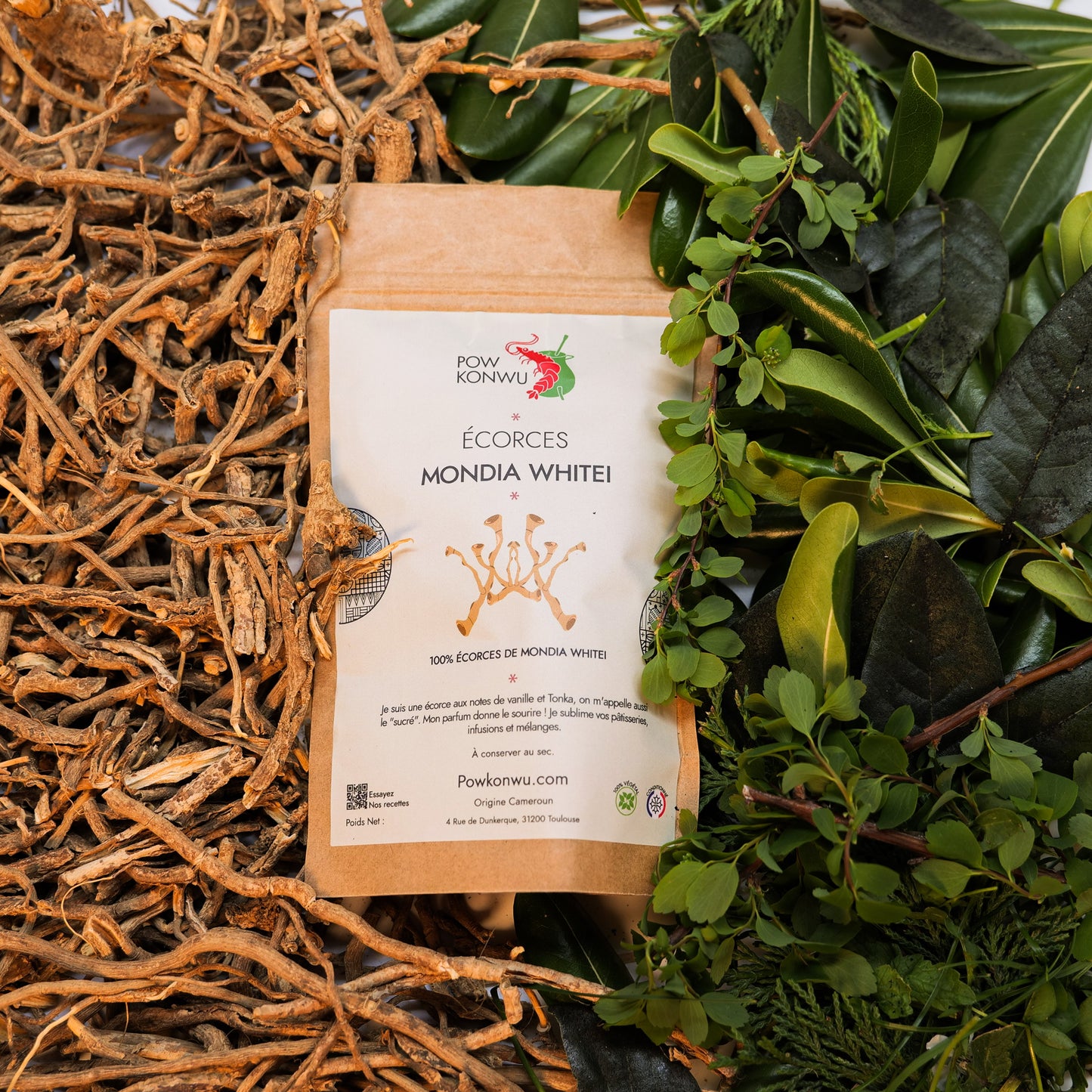 L'Akpi graine / Djansan