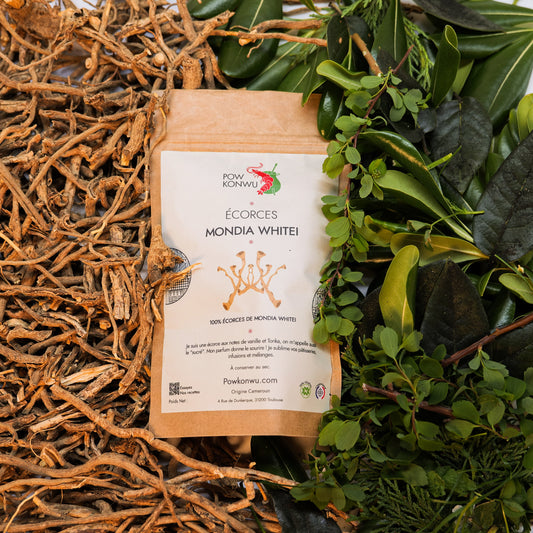 L'Akpi graine / Djansan