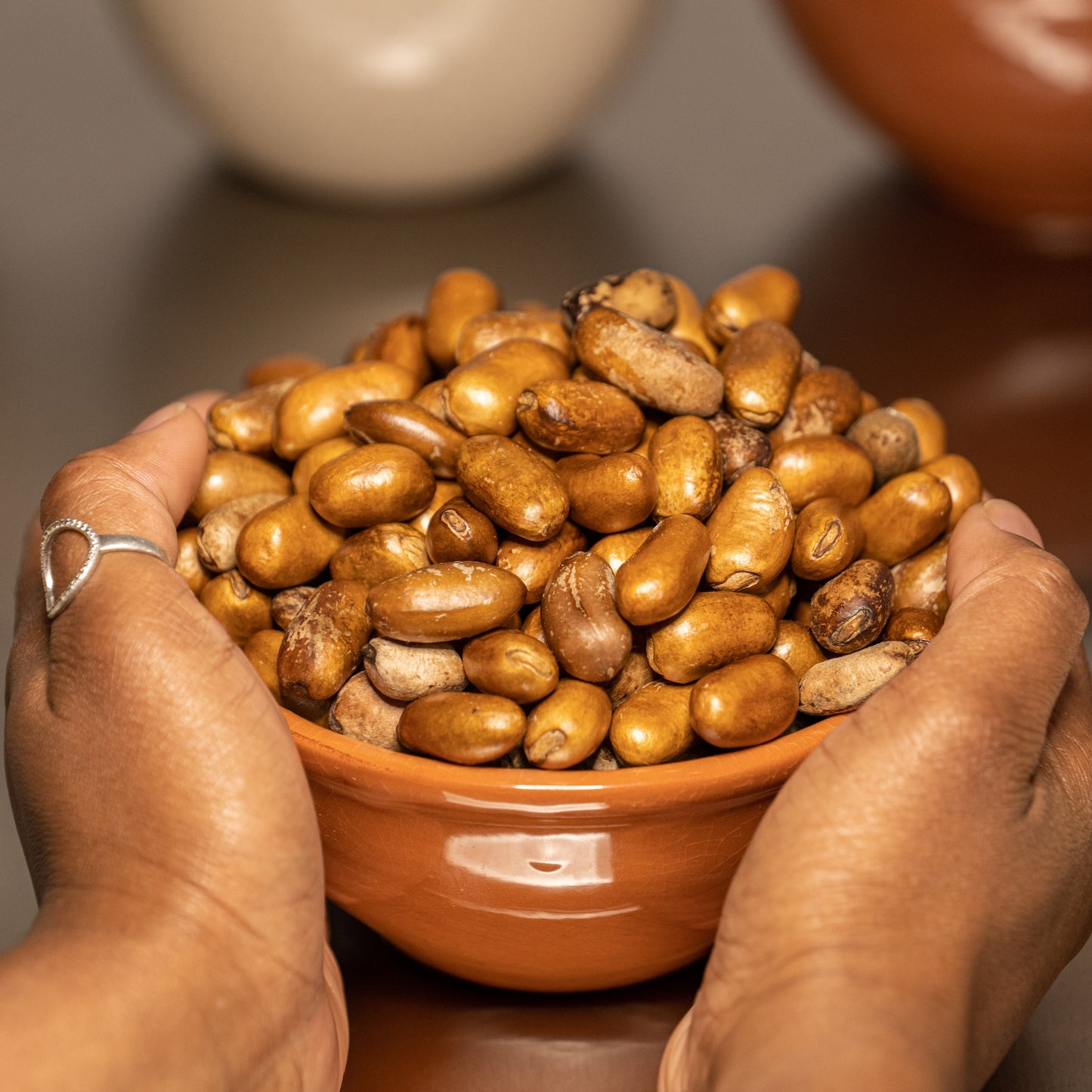Noix de Pèbè