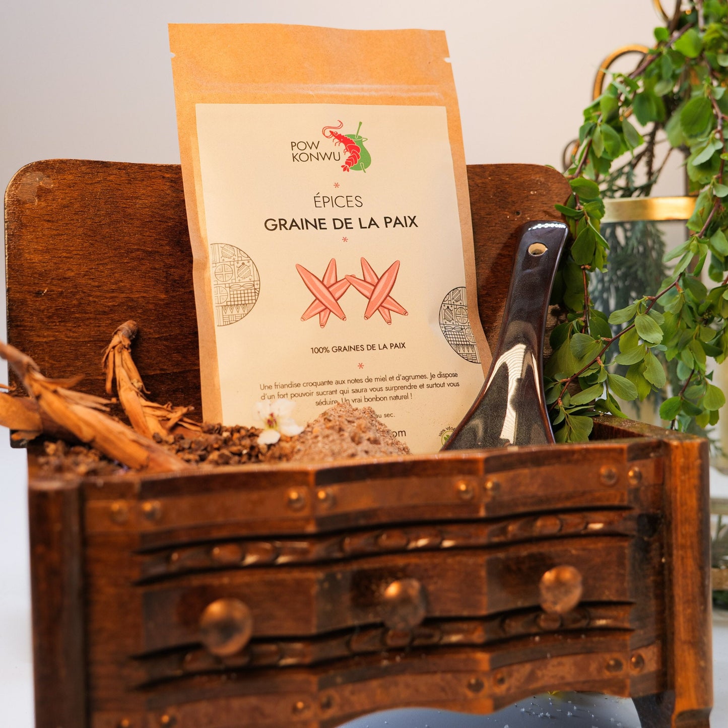 Graine de la Paix / Jujube d'Afrique