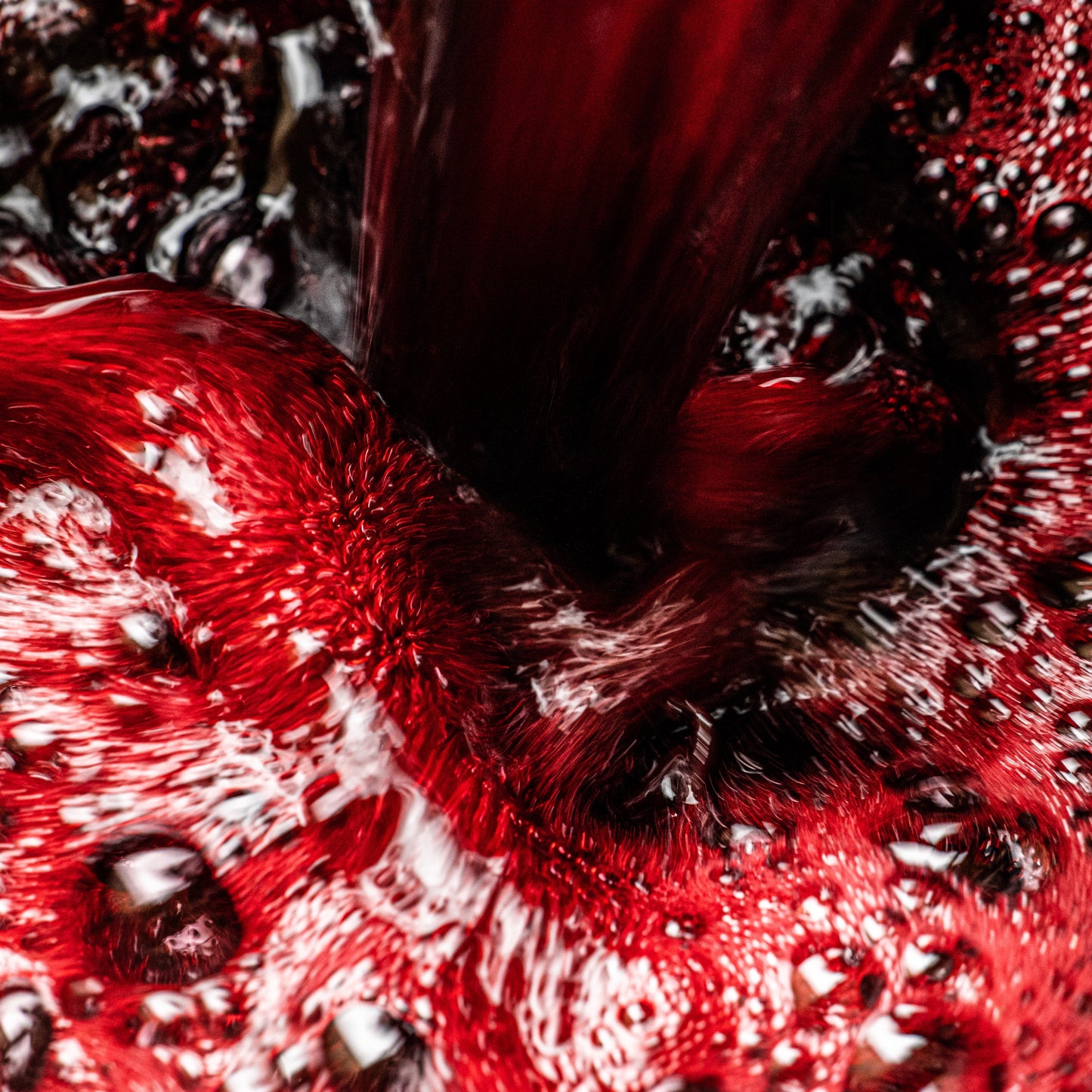 Hibiscus Sabdariffa / Bissap